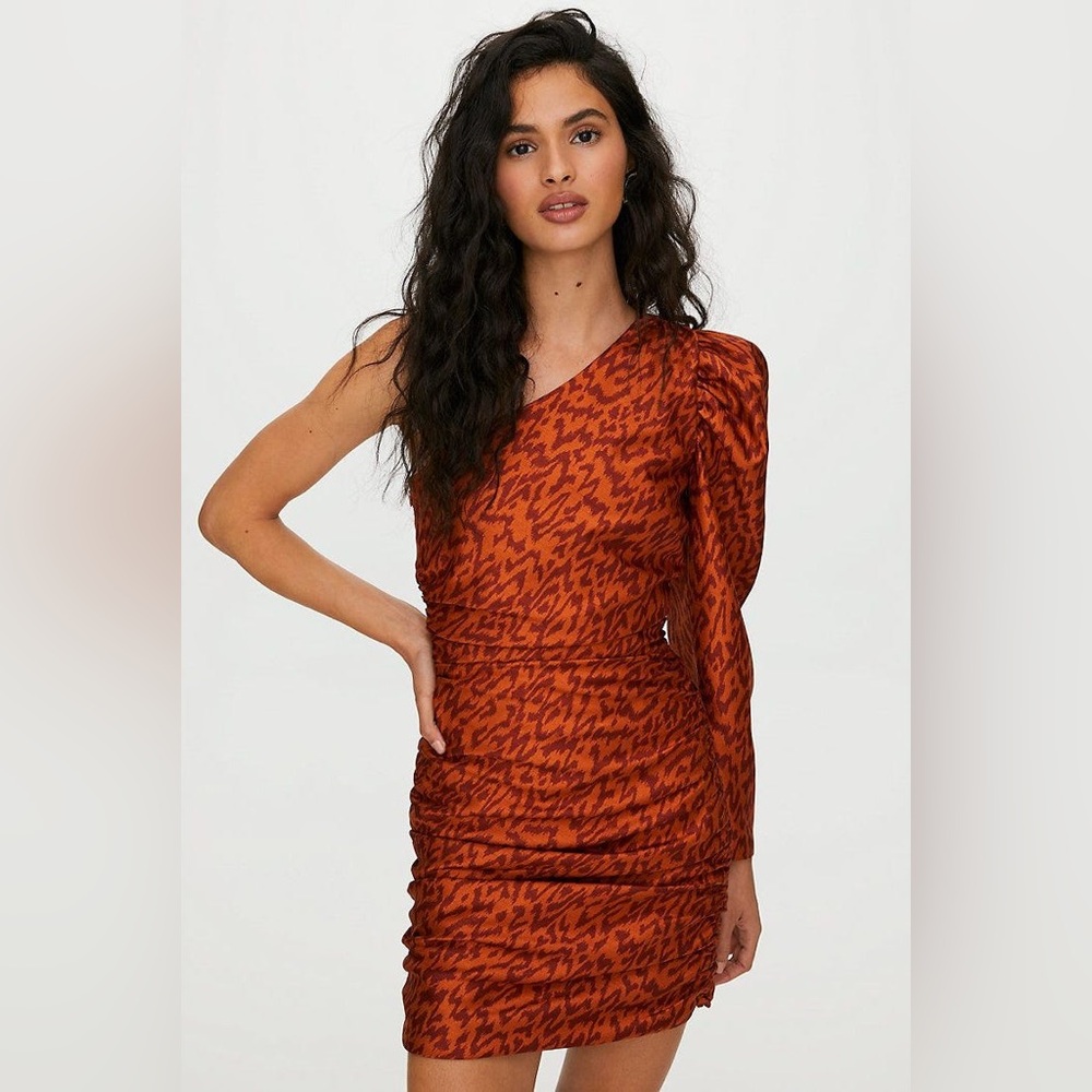 Aritzia Wilfred Rhapsody One Puff Sleeve Animal Print Ruched Mini Dress‎ size 2